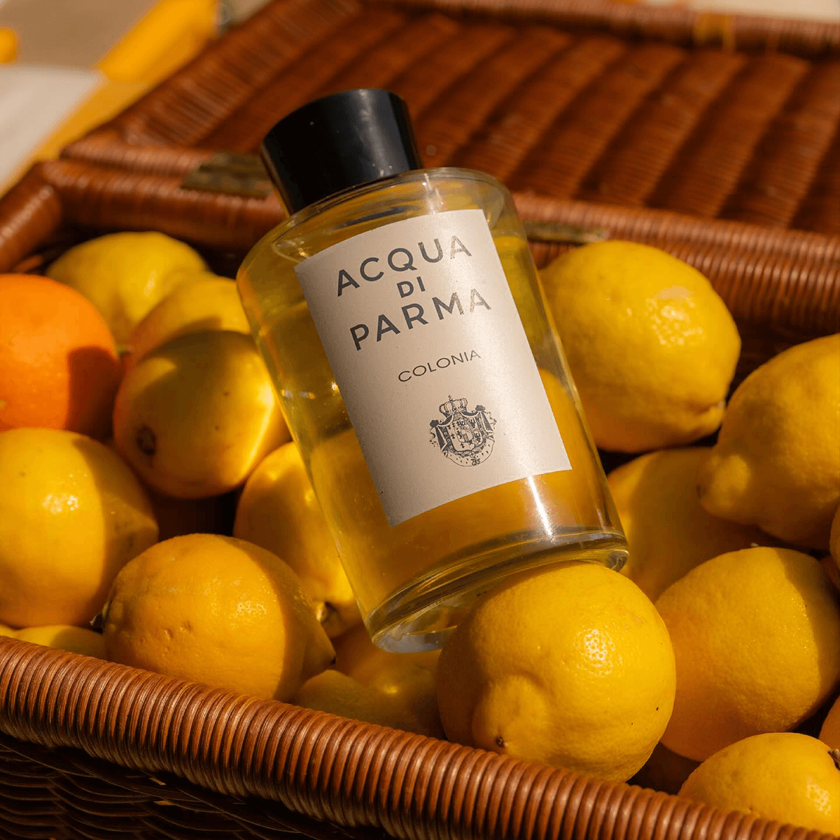 Acqua di Parma Colonia 100 ml