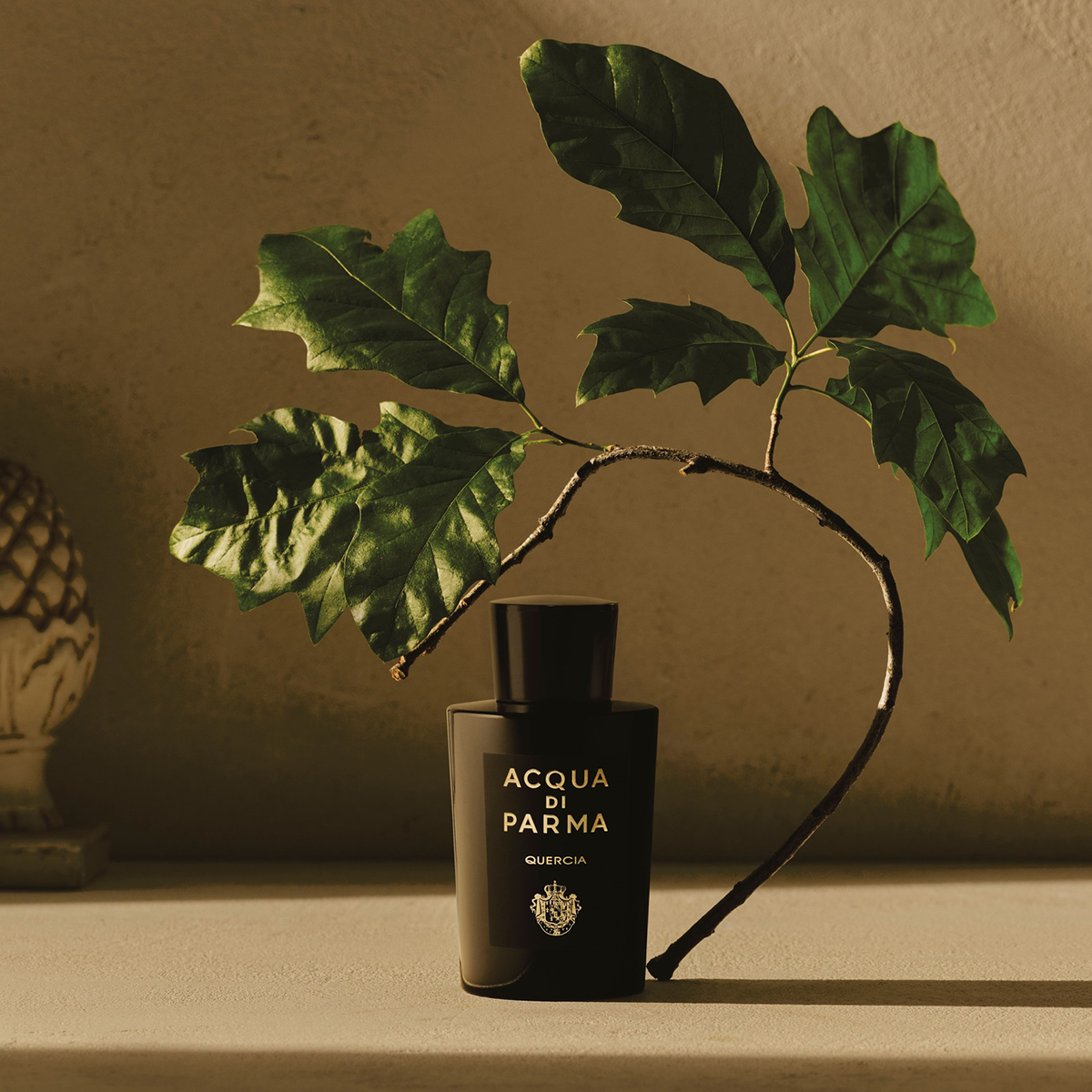 Acqua di Parma Quercia 100 ml