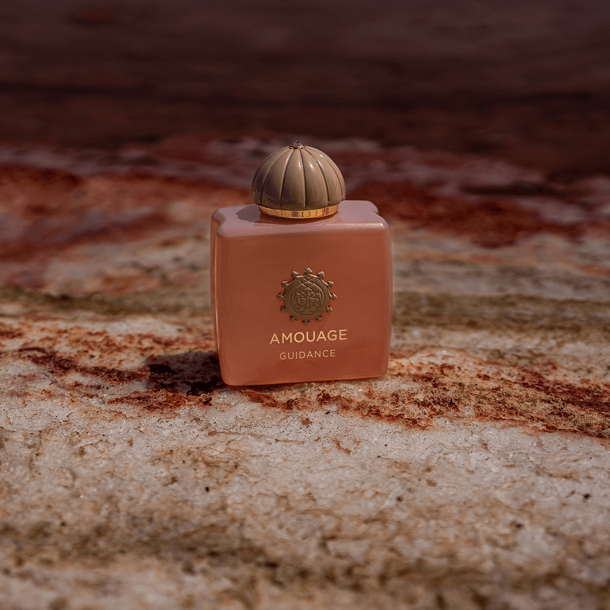 Amouage Guidance 100 ml