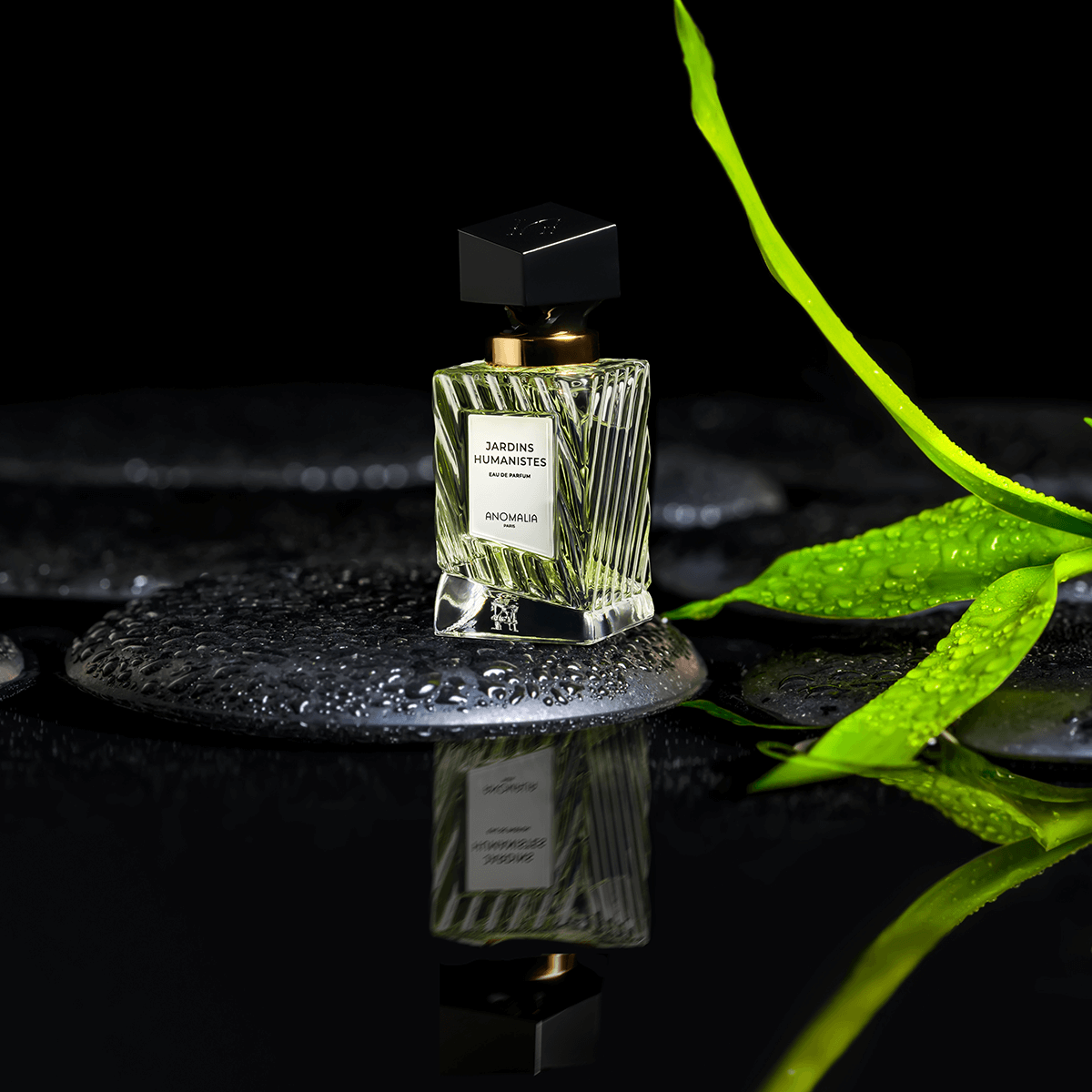 Anomalia Paris Jardins Humanistes 70 ml
