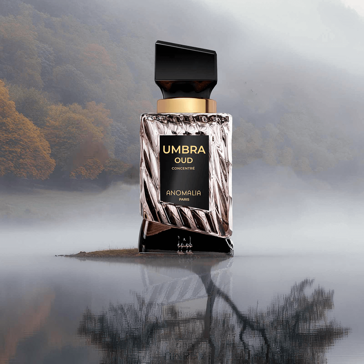 Anomalia Paris Umbra Oud 70 ml
