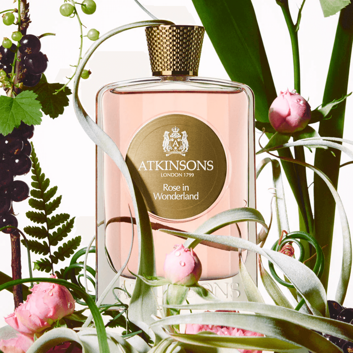 Atkinsons London 1799 Rose in Wonderland 100 ml