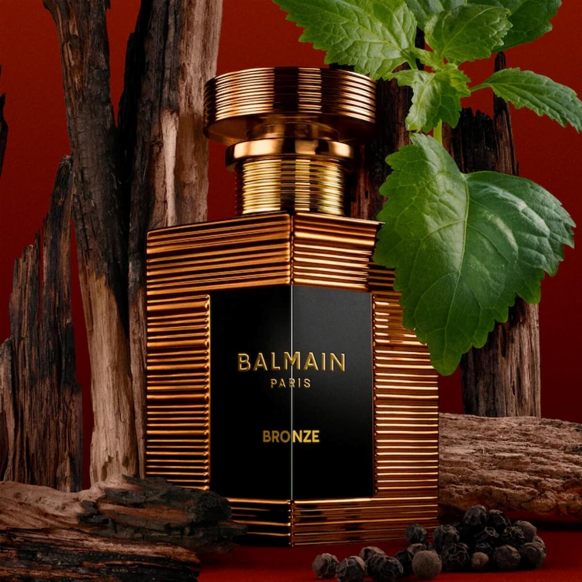 Balmain Paris Bronze Eau de Parfum 50 ml