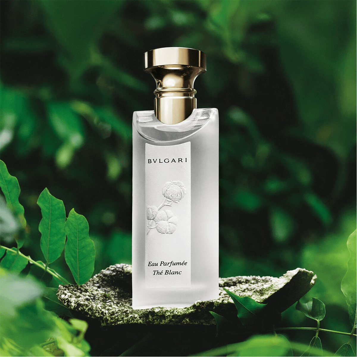 BVLGARI Eau Parfumee The Blanc 75 ml