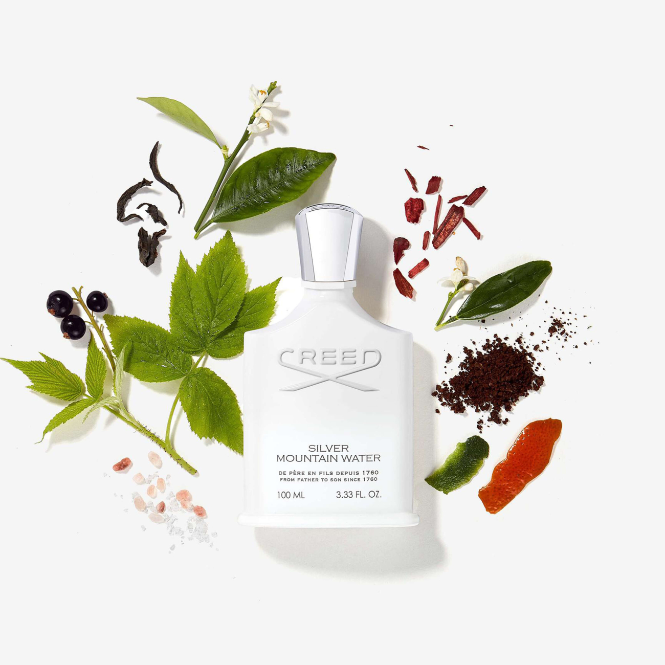 Creed 1760 Silver Mountain Water 100 ml