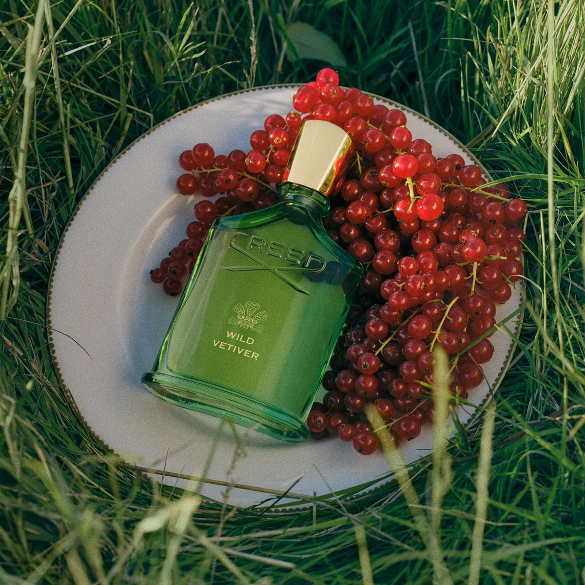 Creed 1760 Wild Vetiver 50 ml