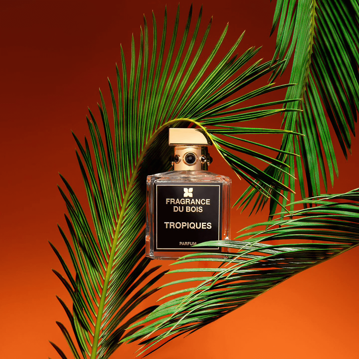 Fragrance Du Bois Tropiques 100 ml