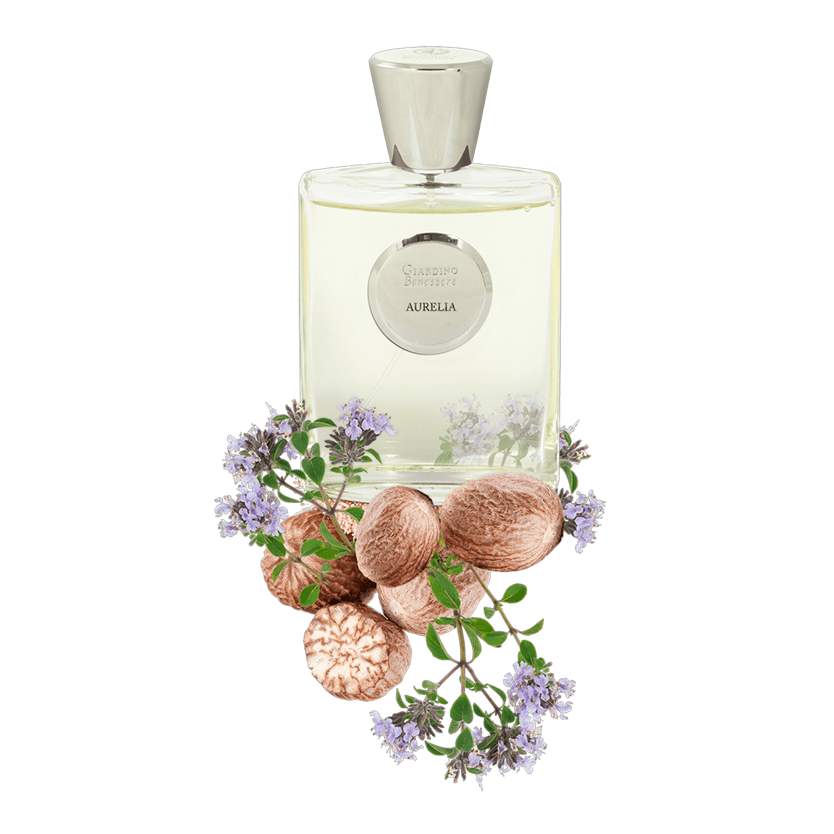 Giardino Benessere Aurelia 100 ml