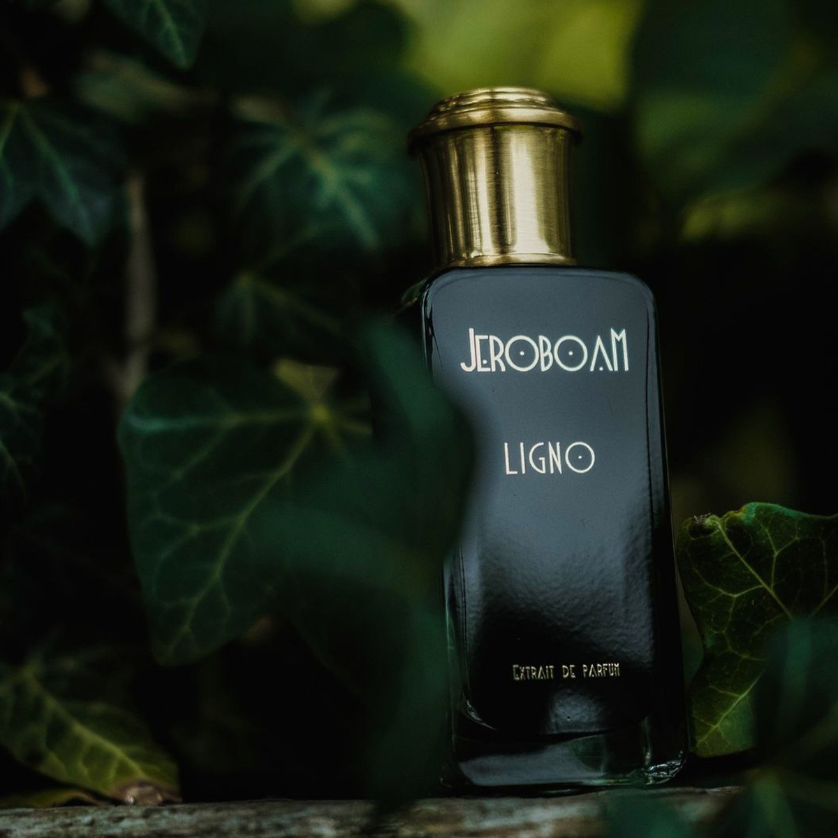 Jeroboam Ligno 30 ml