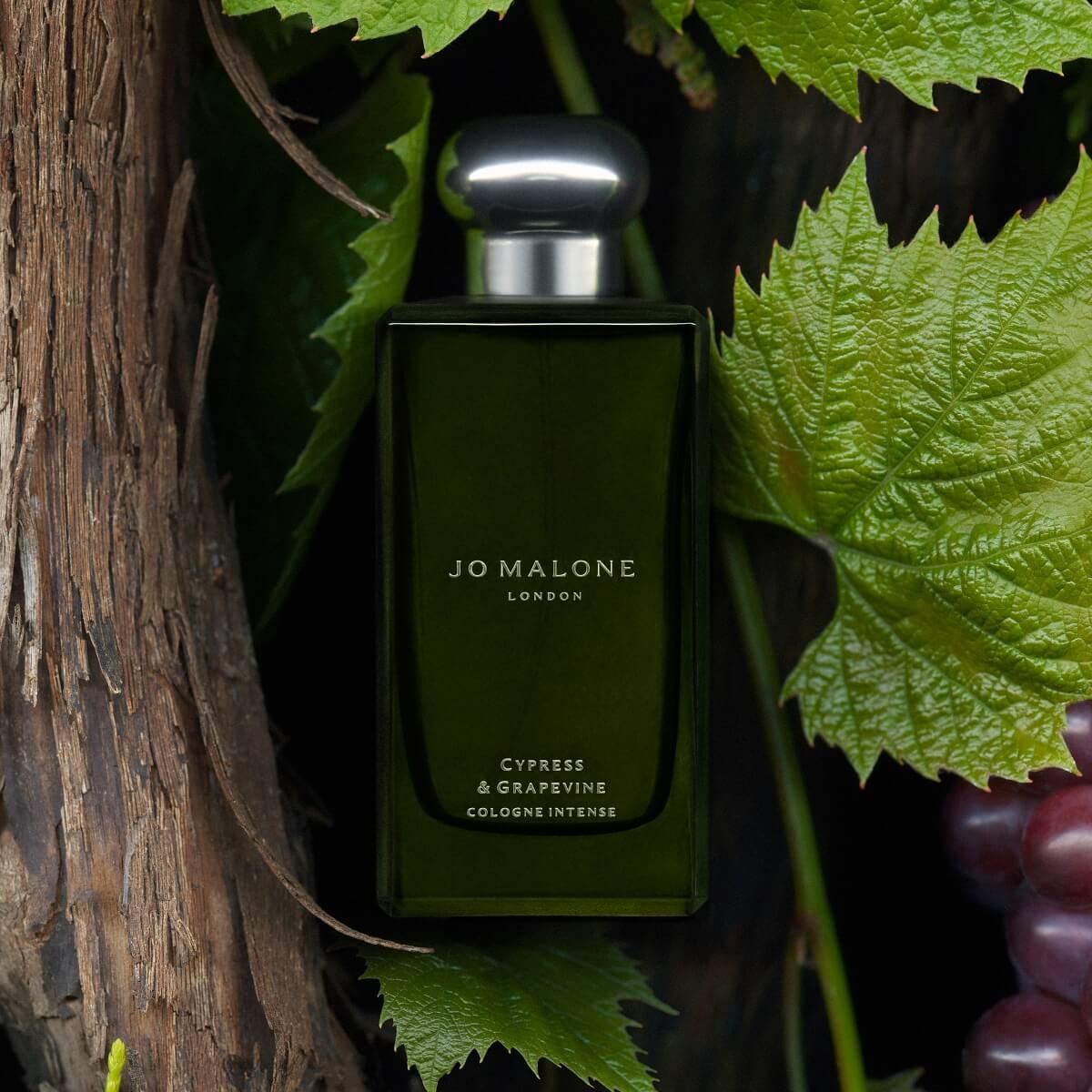 Jo Malone London Cypress & Grapevine 50 ml