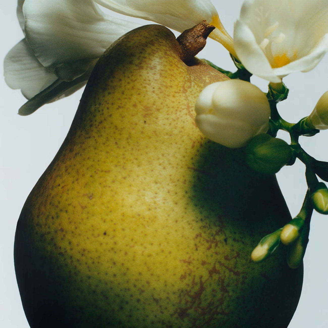 Jo Malone London English Pear & Freesia 50 ml