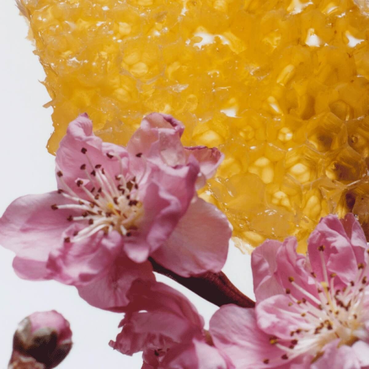 Jo Malone London Nectarine Blossom & Honey 30 ml