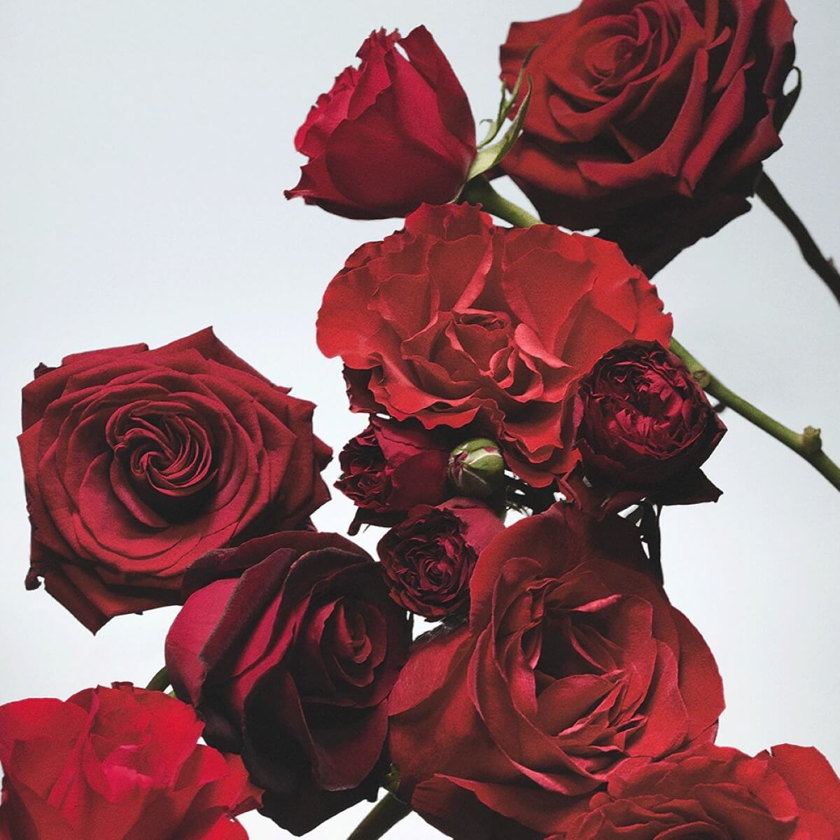 Jo Malone London Red Roses Body Creme 175 ml