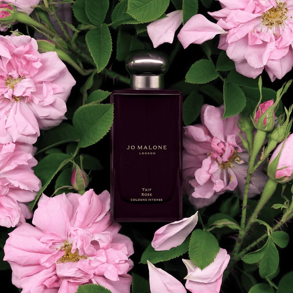Jo Malone London Taif Rose 100 ml
