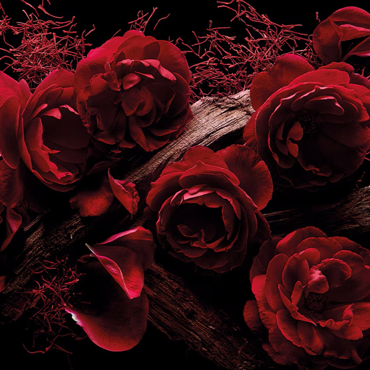 Kilian Paris Rose Oud Refill 50 ml