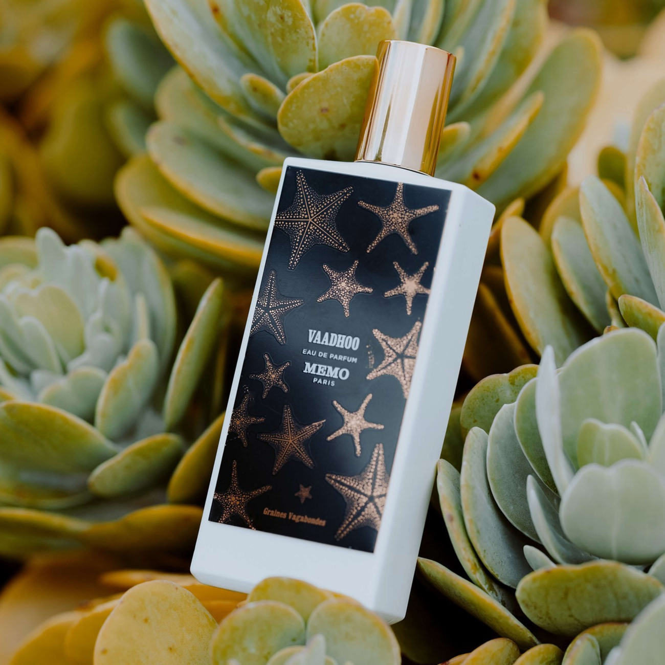 Memo Paris Vaadhoo 75 ml