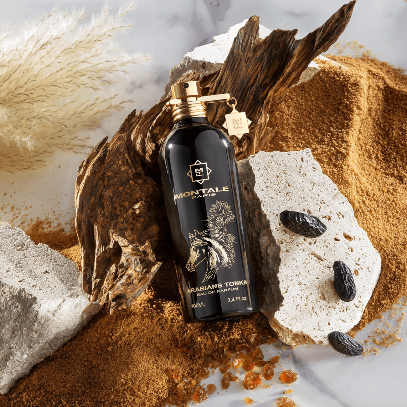 Montale Paris Arabians Tonka 100 ml