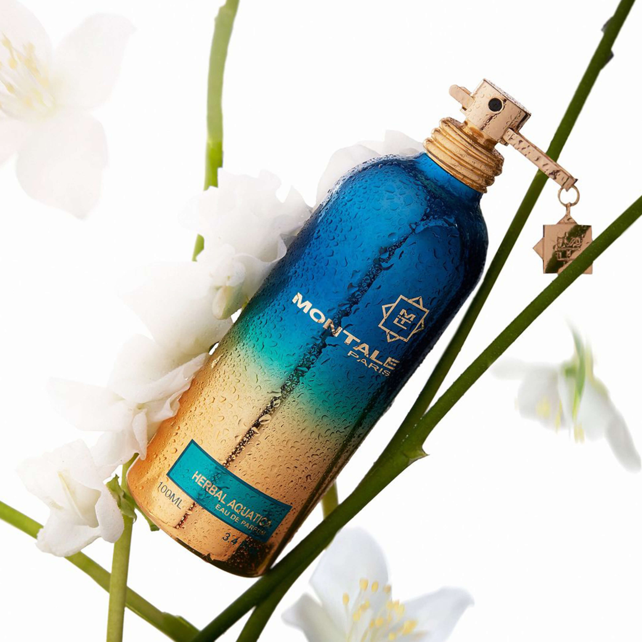 Montale Paris Herbal Aquatica 100 ml