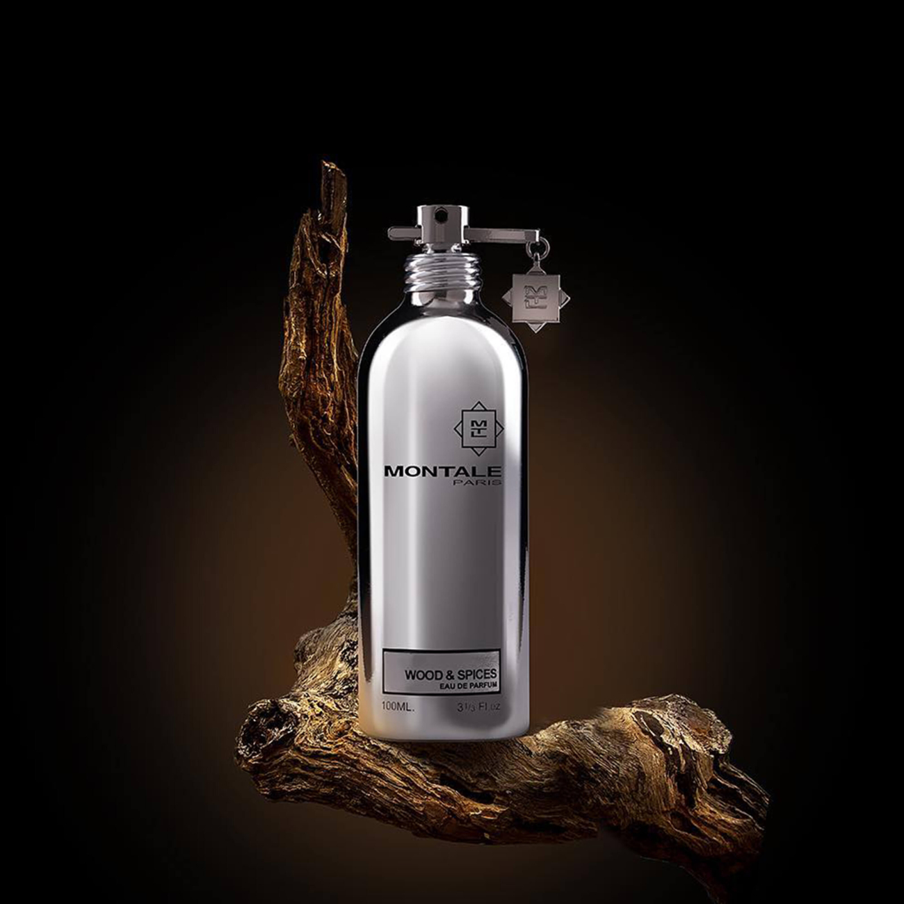 Montale Paris Wood & Spices 100 ml