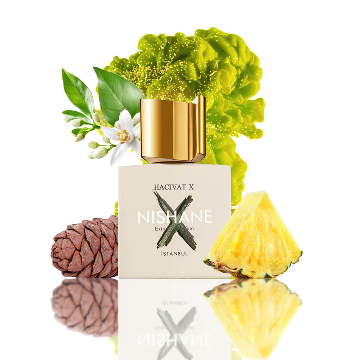 NISHANE Hacivat X 100 ml