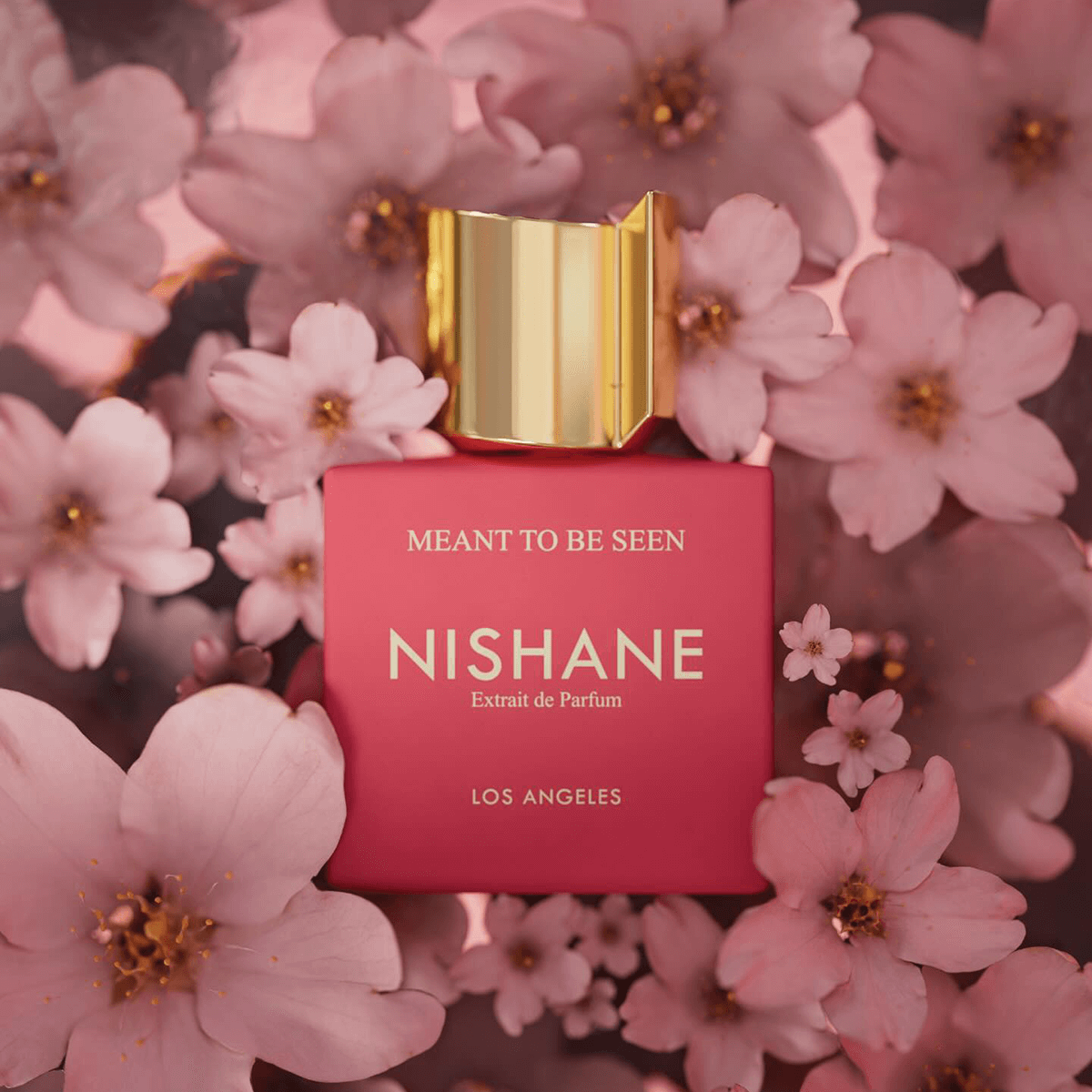 NISHANE Meant to be Seen 100 ml