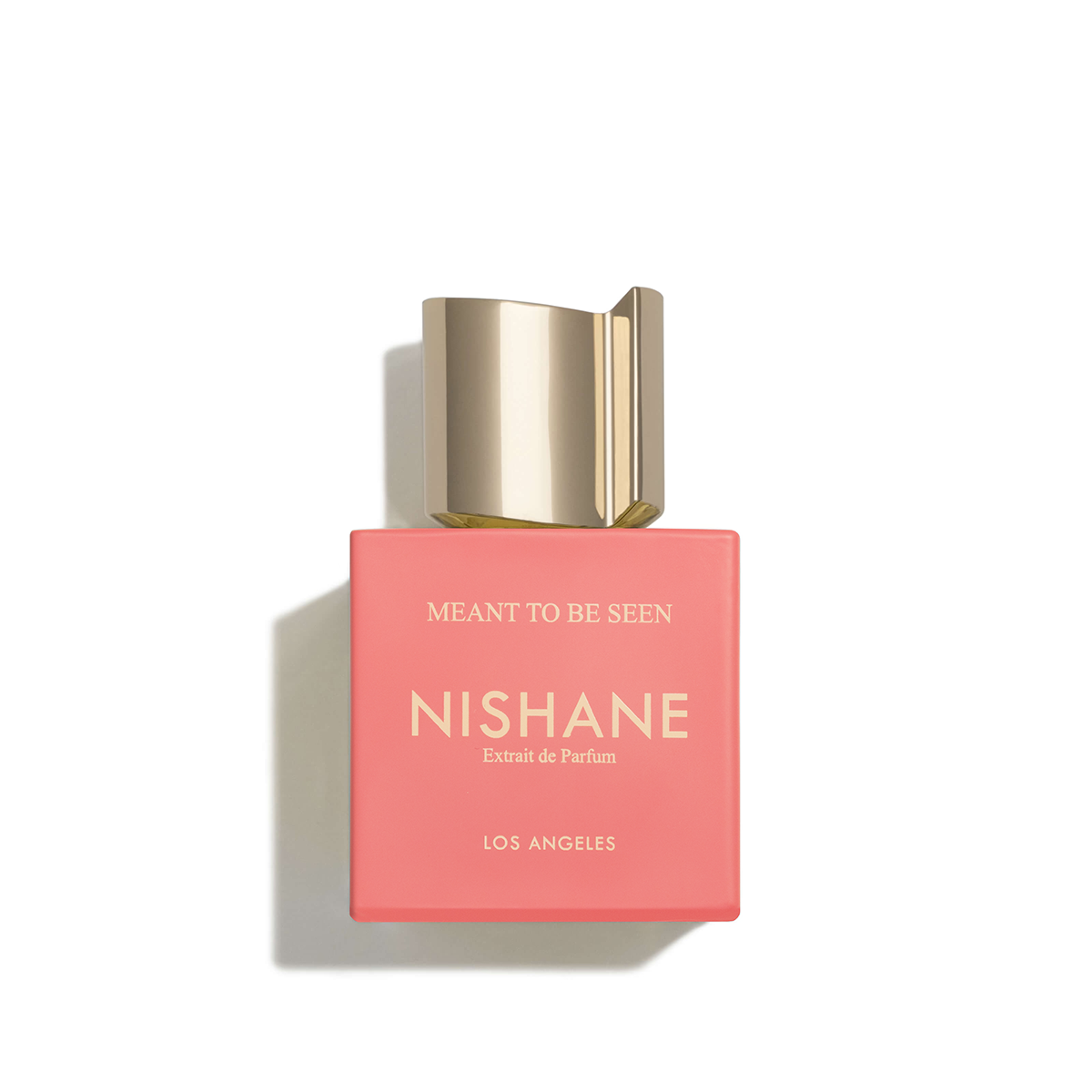 NISHANE Meant to be Seen 100 ml