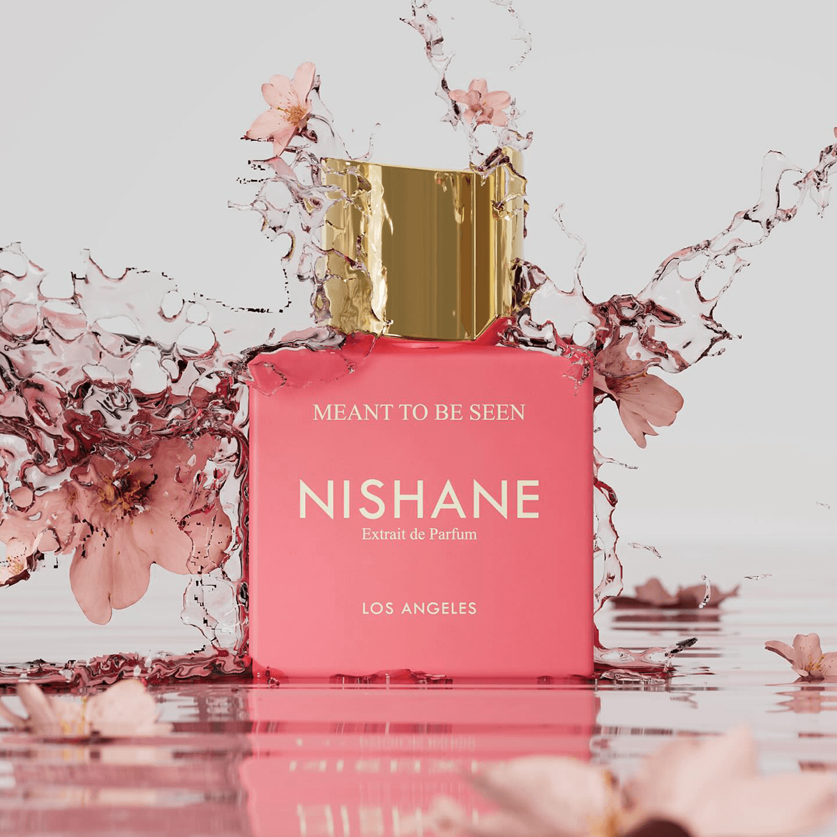 NISHANE Meant to be Seen 50 ml