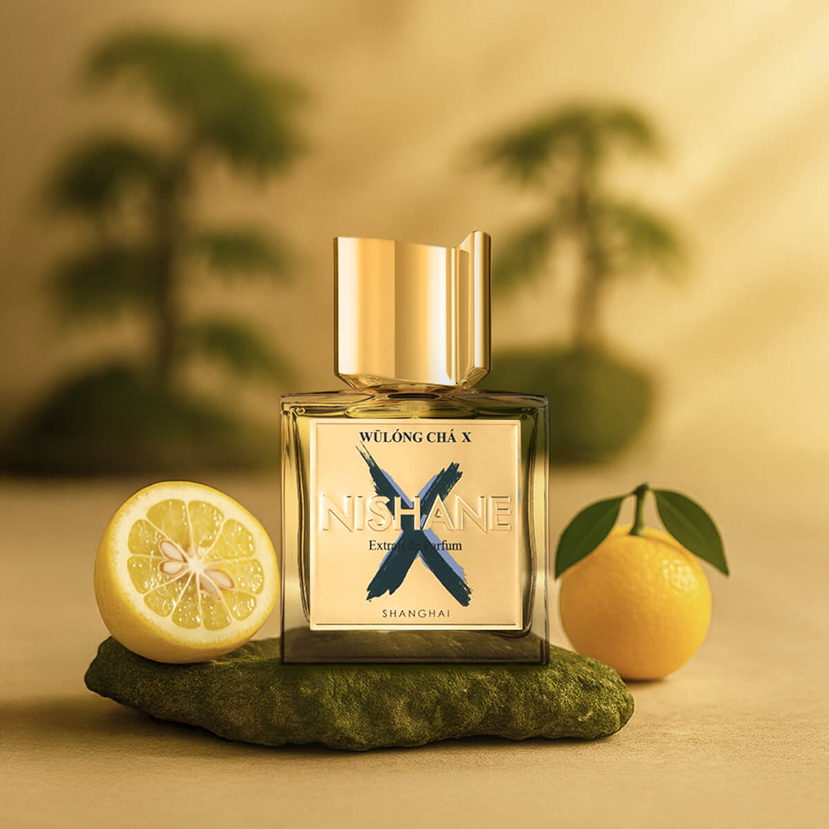 NISHANE Wulong Cha X 100 ml