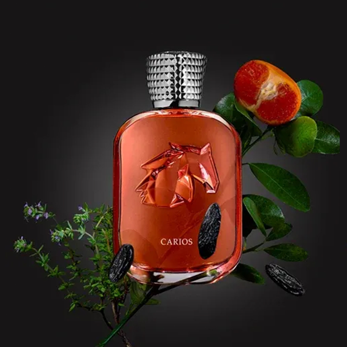 Parfums de Marly Paris Carios 100 ml
