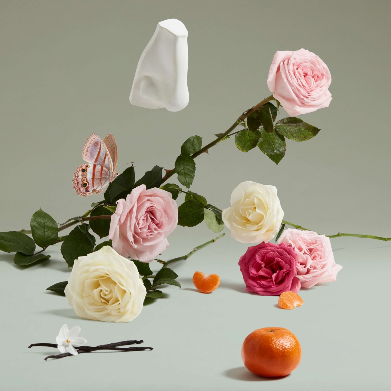 Penhaligon's The Coveted Duchess Rose 75 ml