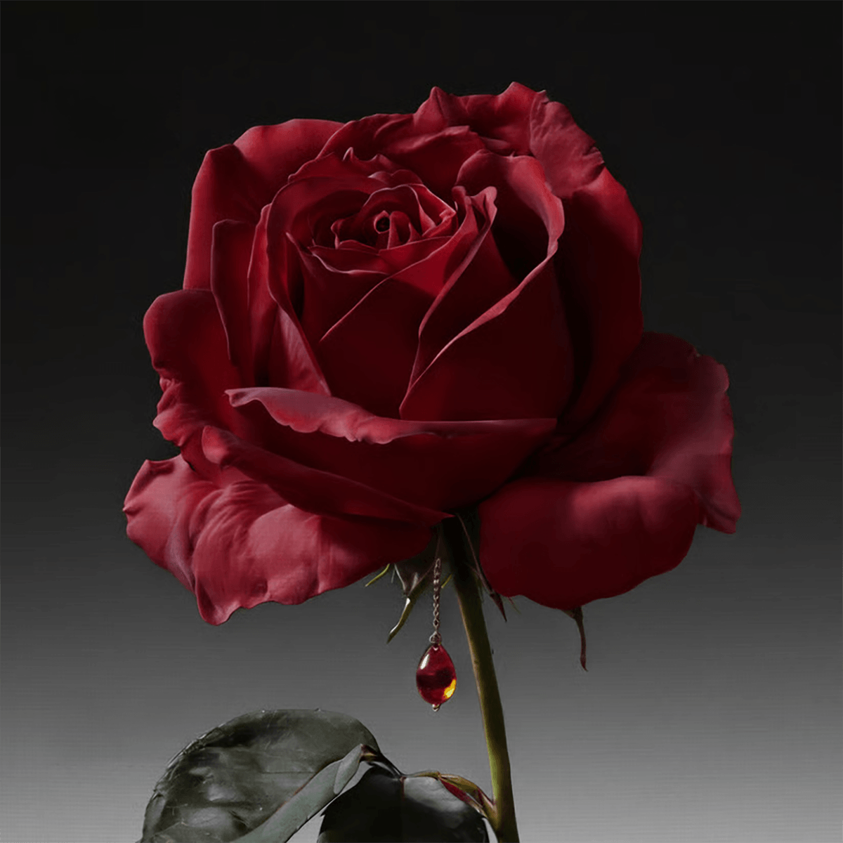 Penhaligon's The Coveted Duchess Rose Intense 75 ml