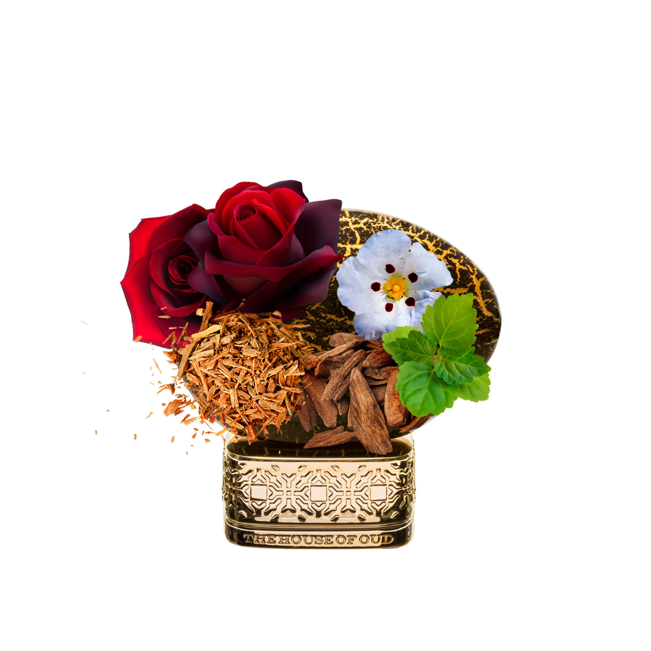 ThoO Blessing Silence 75 ml