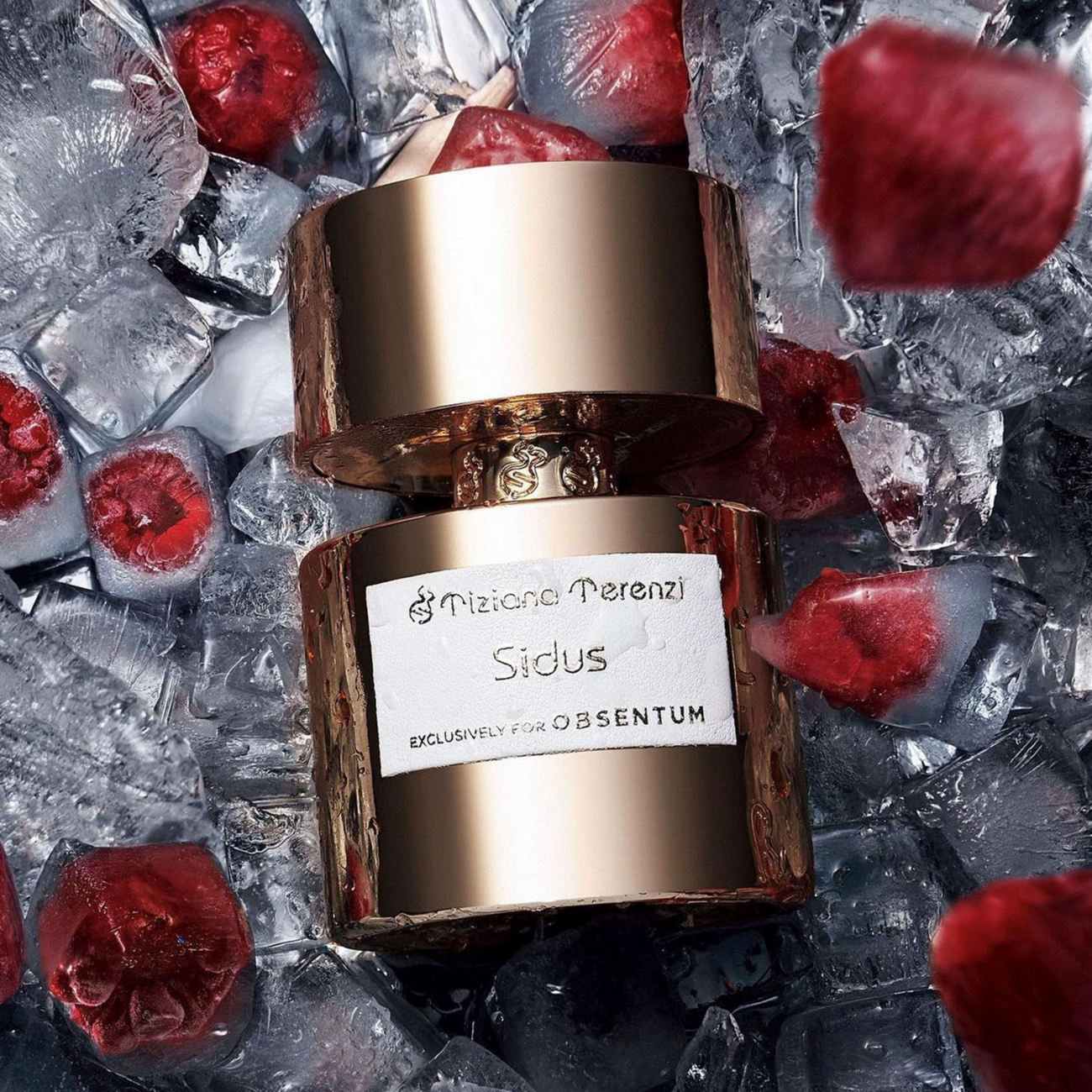 Tiziana Terenzi Sidus 100 ml