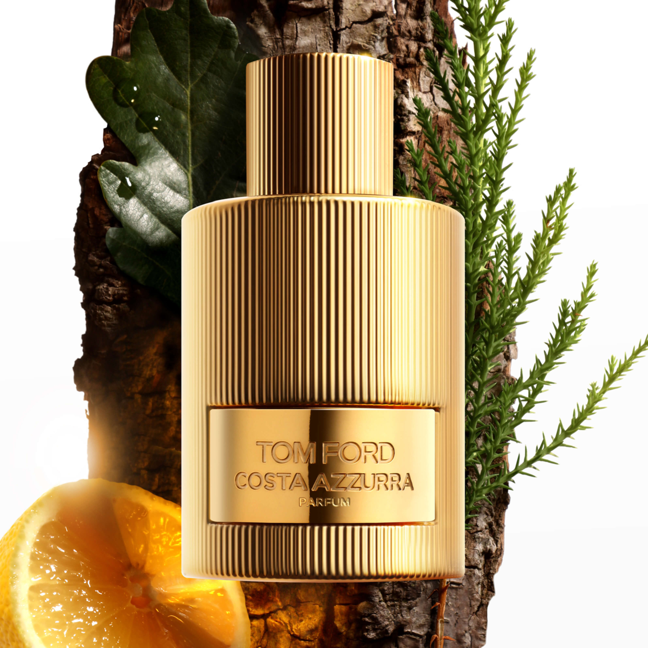 Tom Ford Costa Azzurra Parfum 100 ml