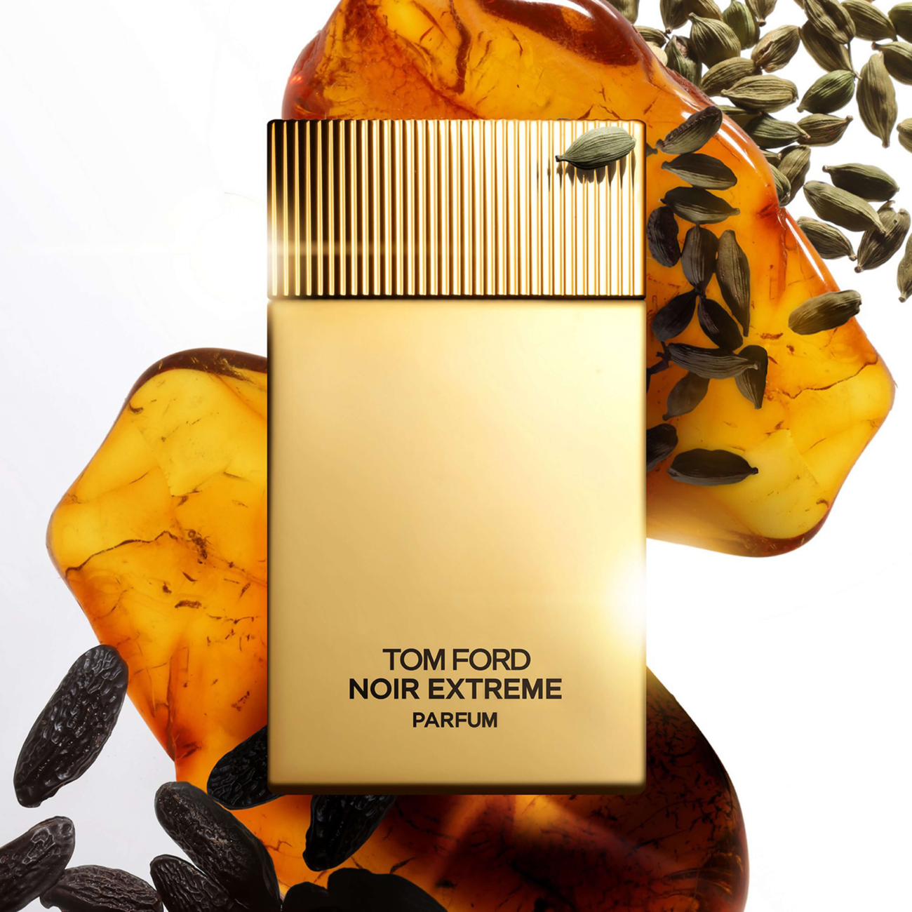 Tom Ford Noir Extreme Parfum 100 ml