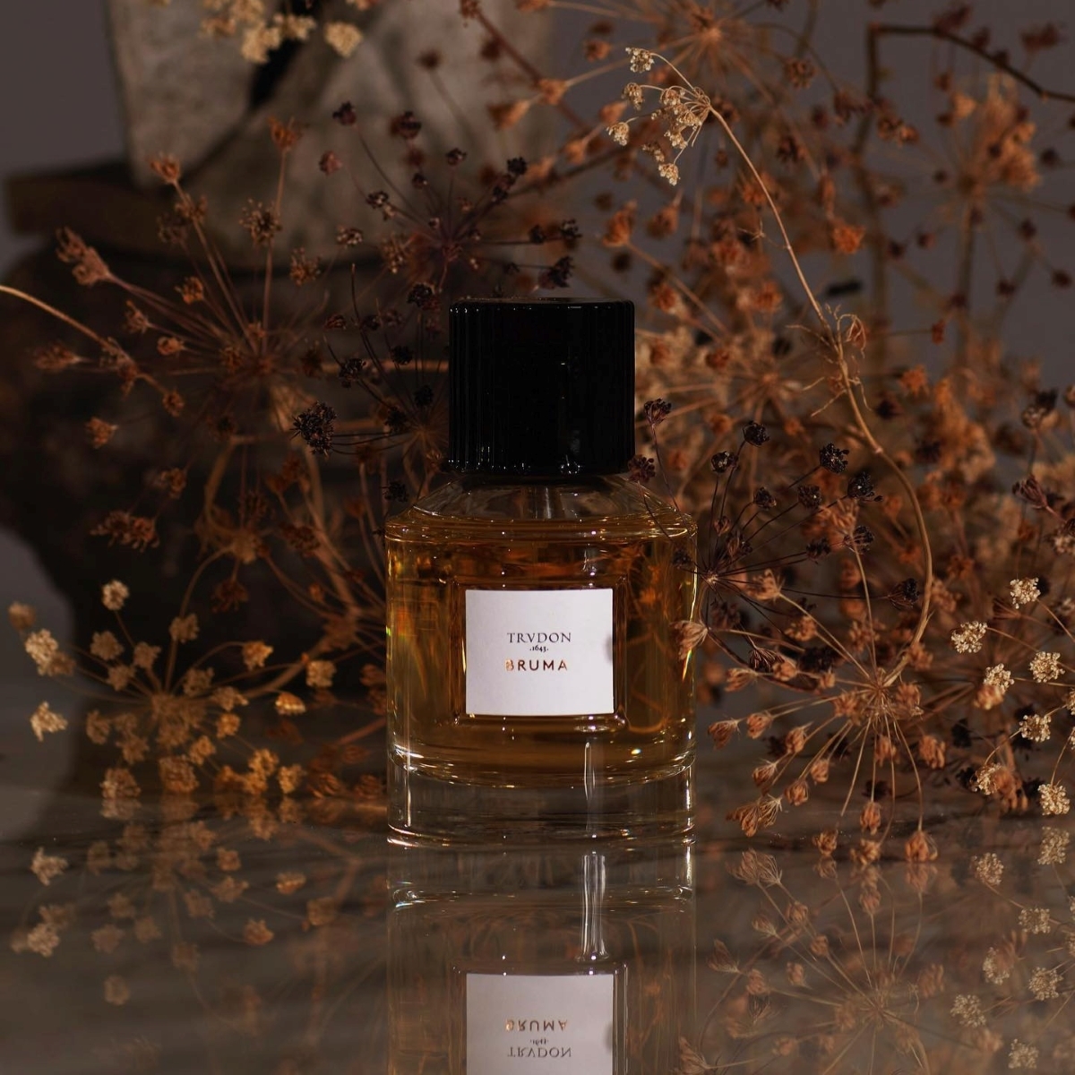 Trvdon Bruma 100 ml