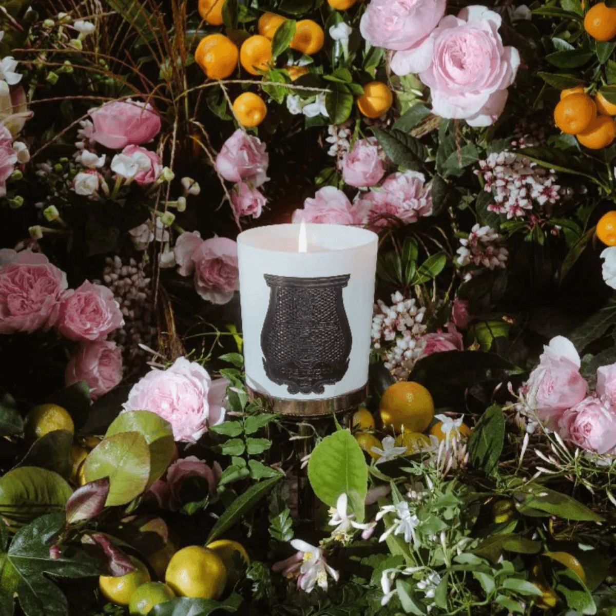Trvdon Rose Poivree Classique Candle 270 gr