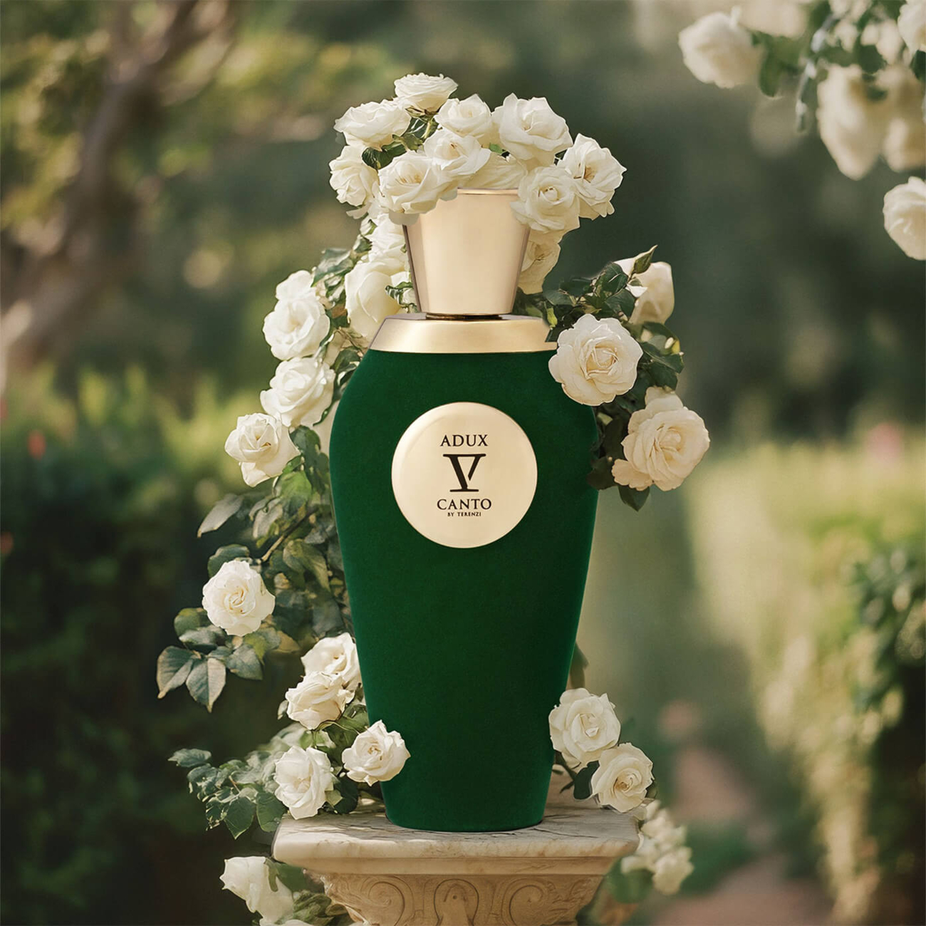 V Canto by Terenzi Adux 100 ml