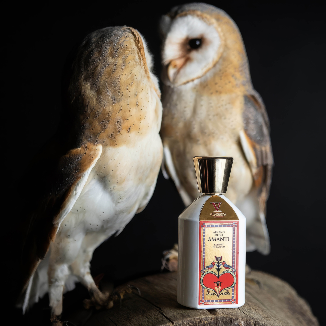 V Canto by Terenzi Arkano Degli Amanti 100 ml