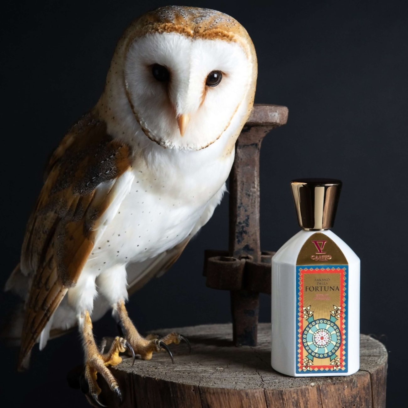 V Canto by Terenzi Arkano Della Fortuna 100 ml