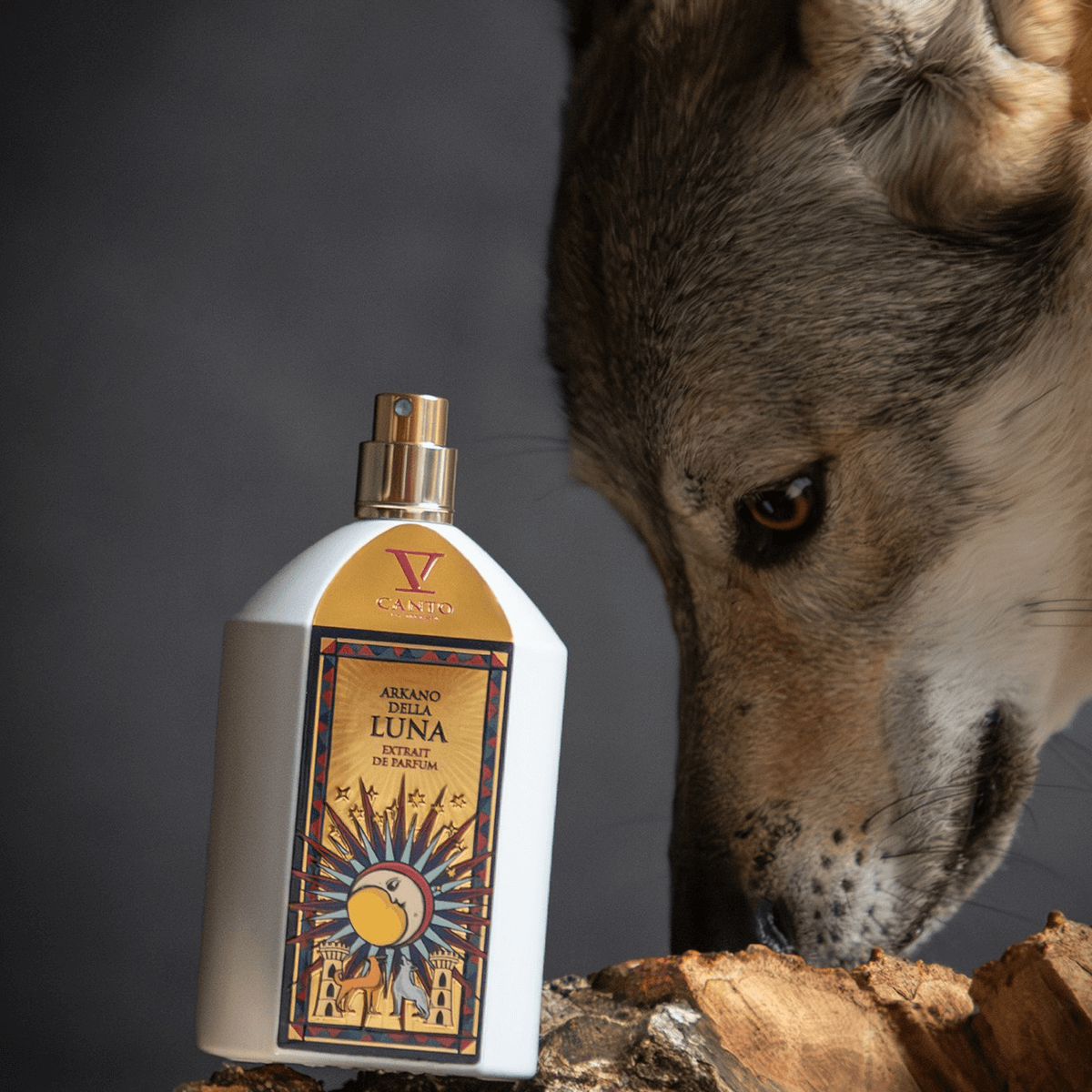 V Canto by Terenzi Arkano Della Luna 100 ml