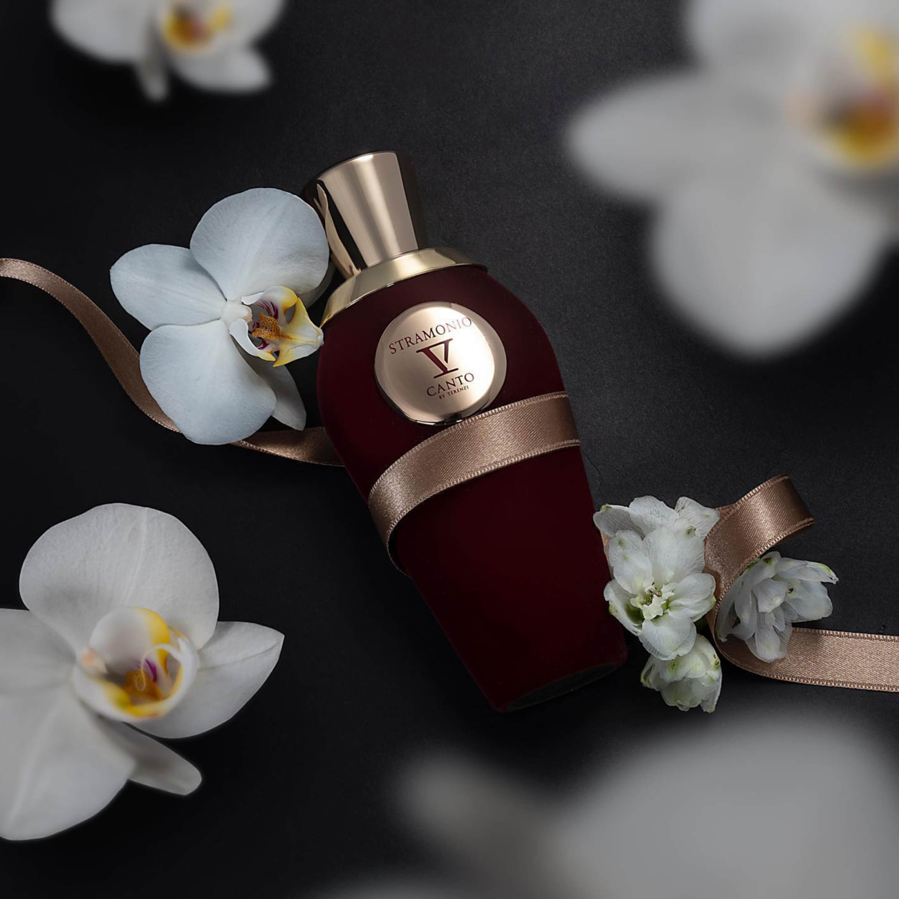 V Canto by Terenzi Stramonio 100 ml