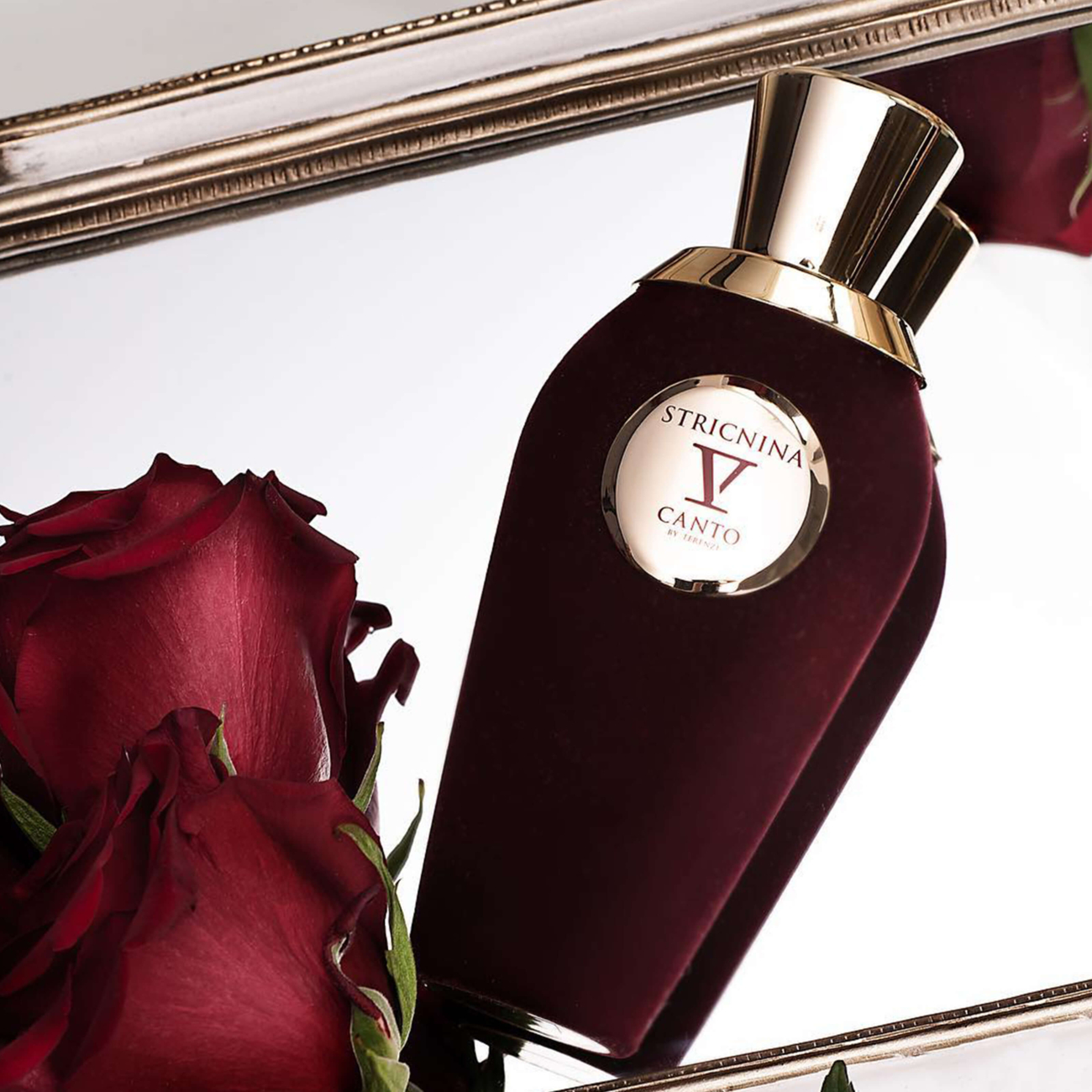 V Canto by Terenzi Stricnina 100 ml
