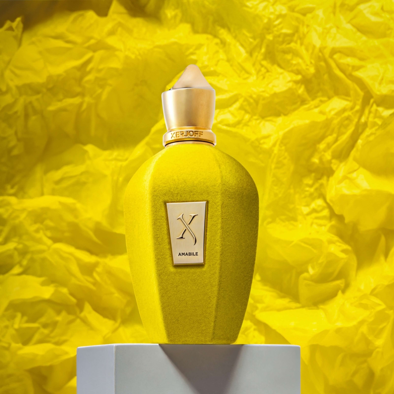 Xerjoff Amabile 100 ml