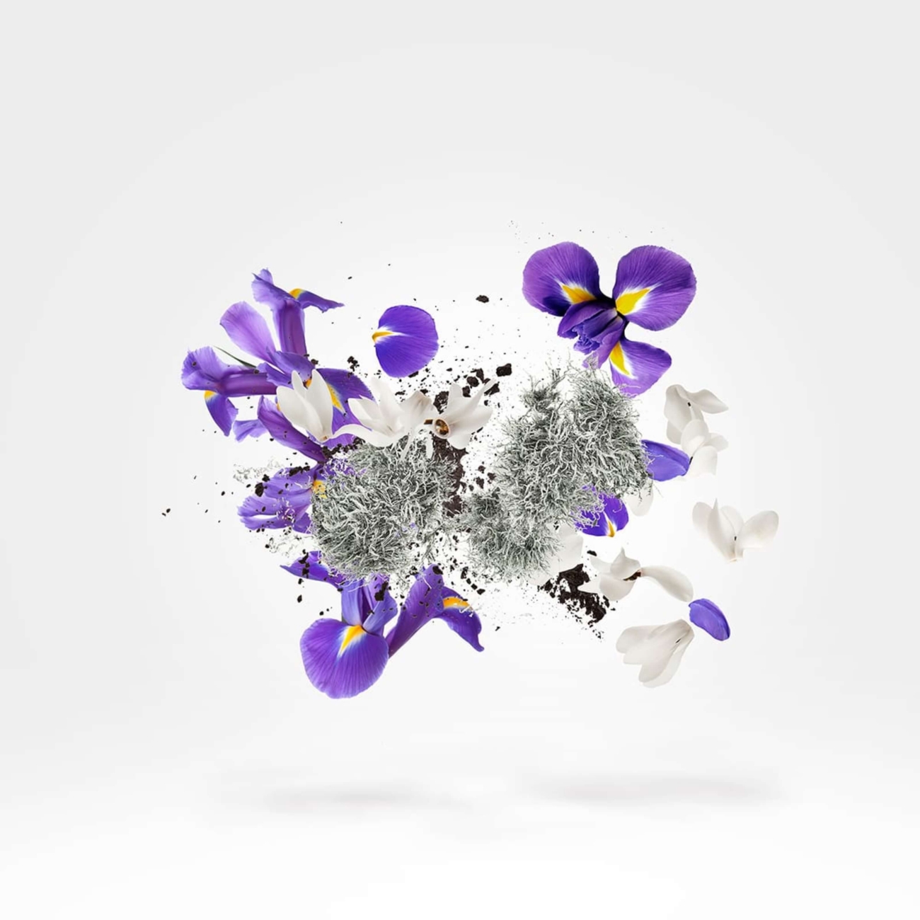 Xerjoff Apollonia 50 ml