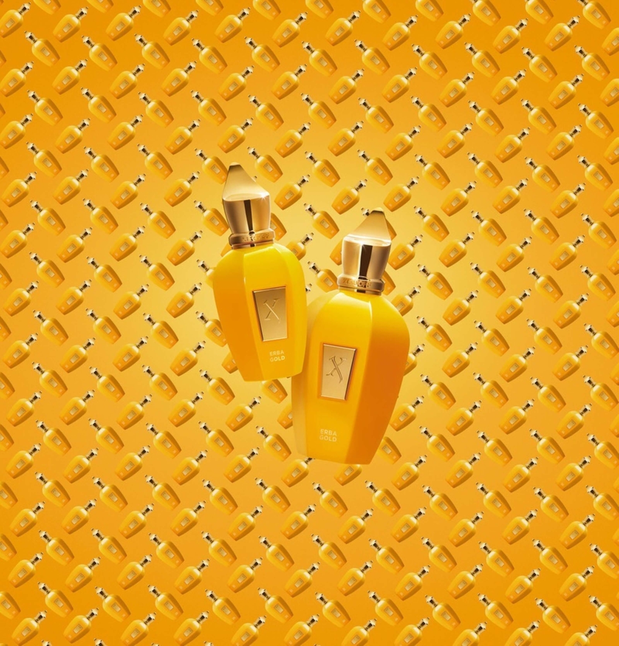 Xerjoff Erba Gold 100 ml