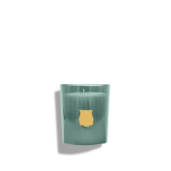 Trvdon Figuerie Petite Candle 270 ml