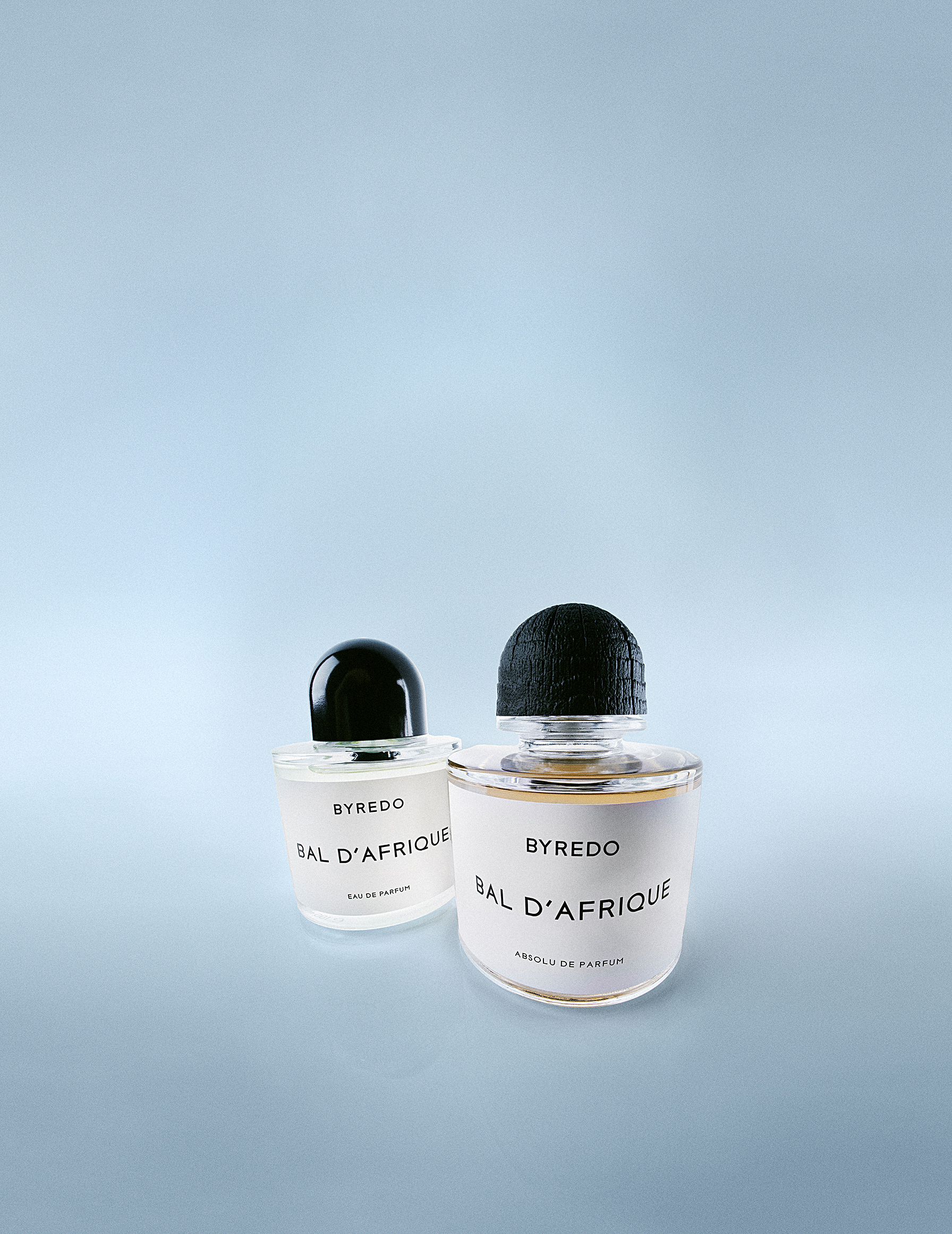 The Absolu