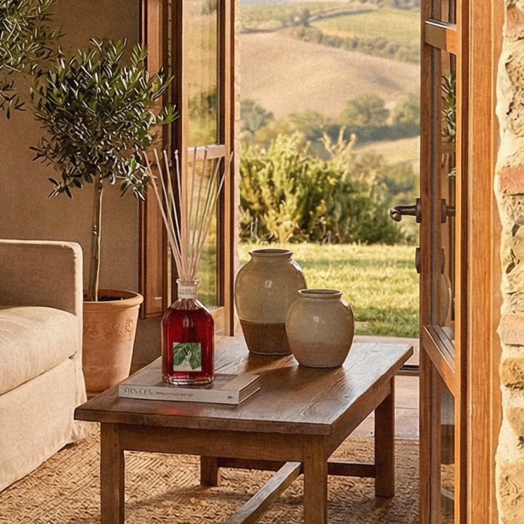 Fico Aromatico Vranjes