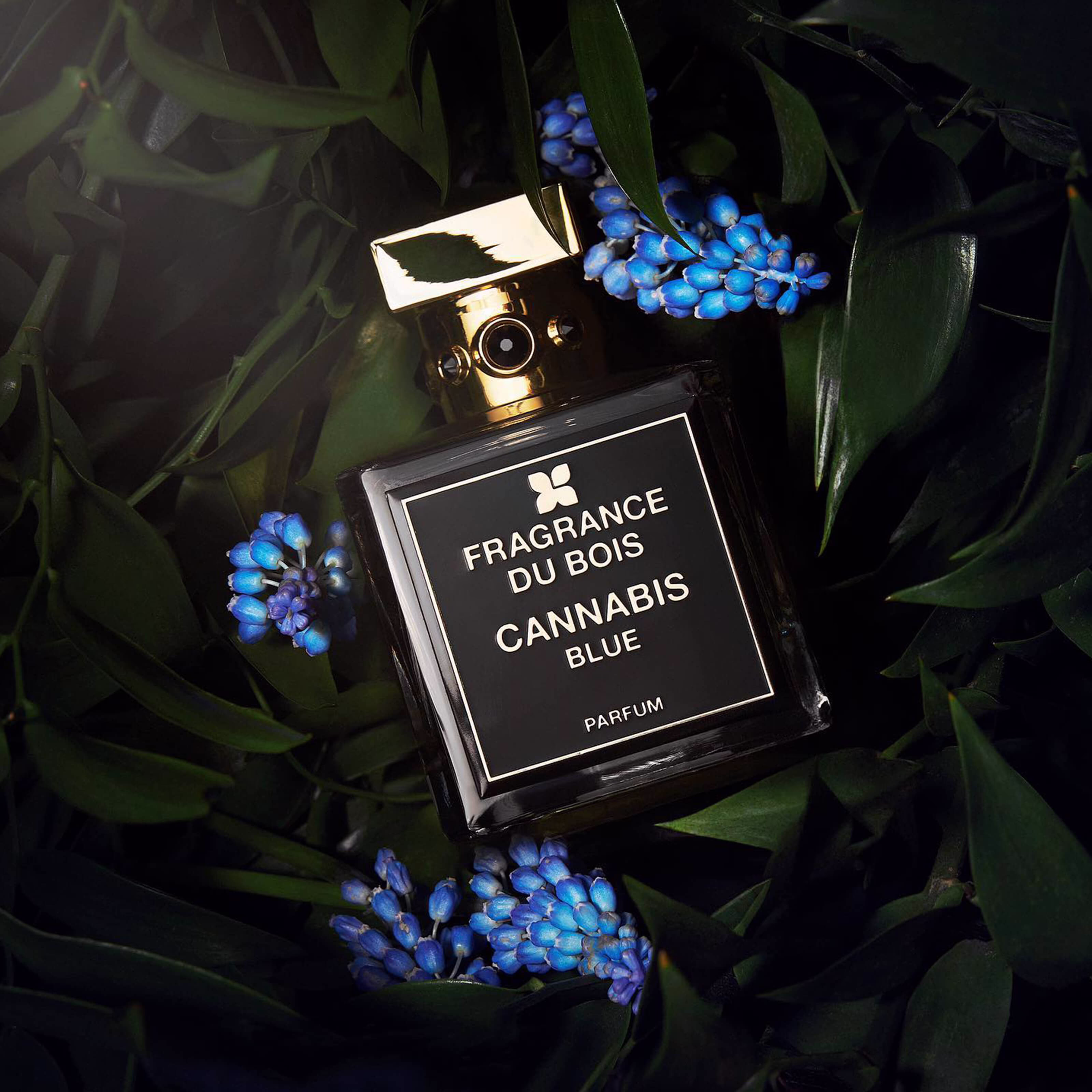 Cannabis Blue by Fragrance du Bois, inspiration for eccentric mood